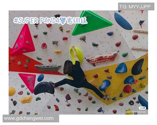 攀岩深度探索广州攀岩队的防反策略与训练心得分享