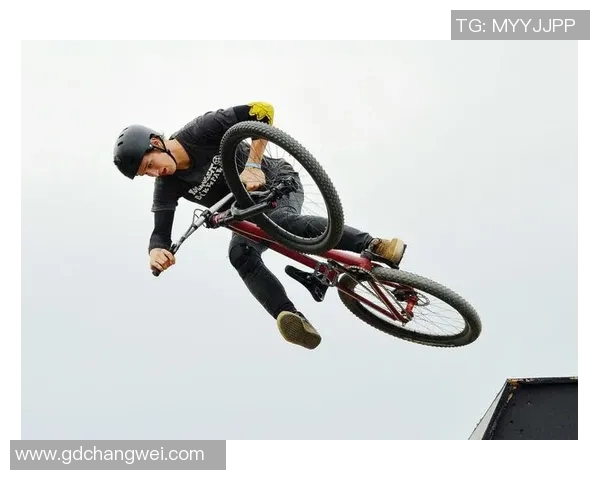 成都极限运动队的表现分析与控制策略探讨